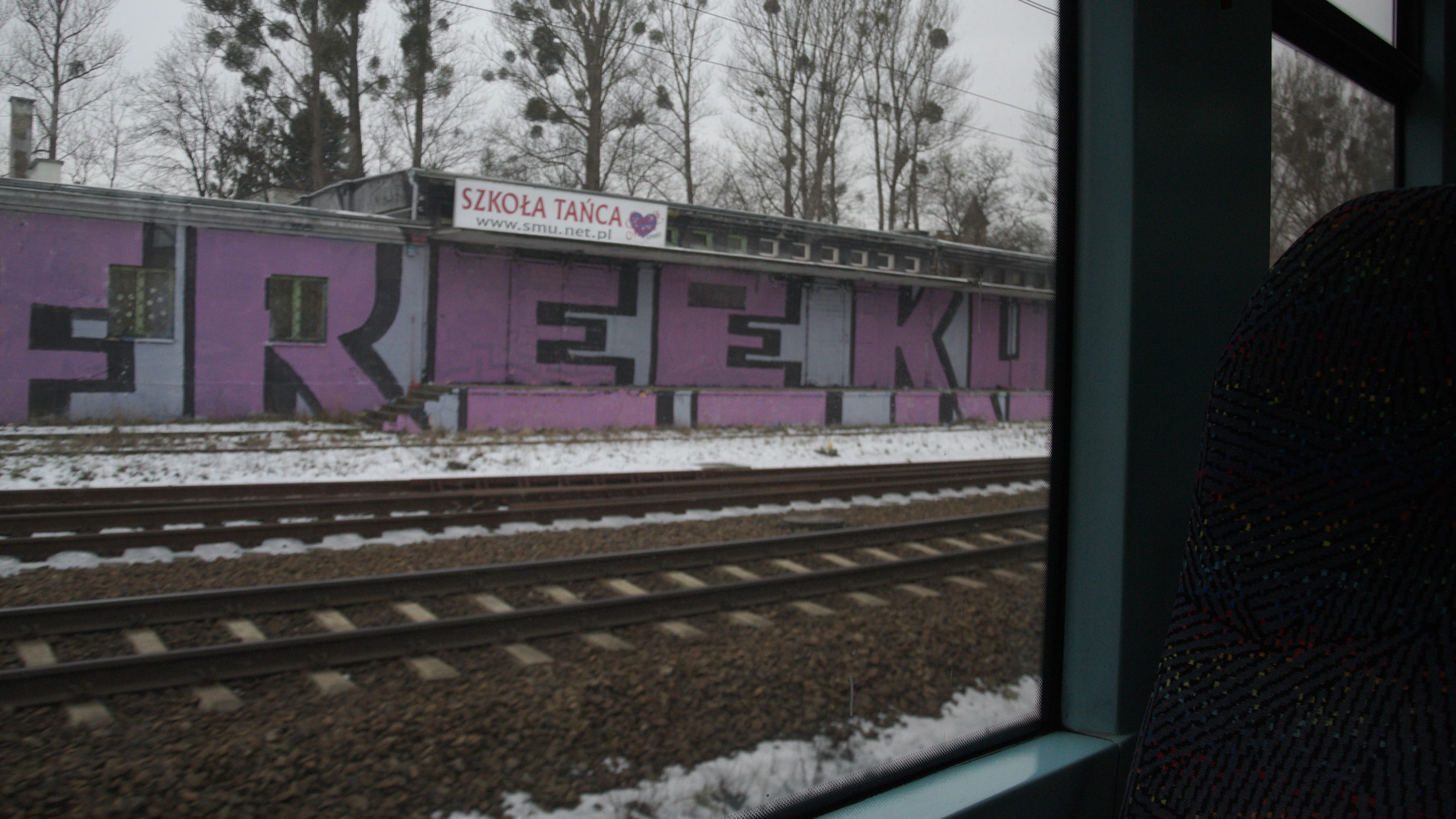 DSC_0387.jpg