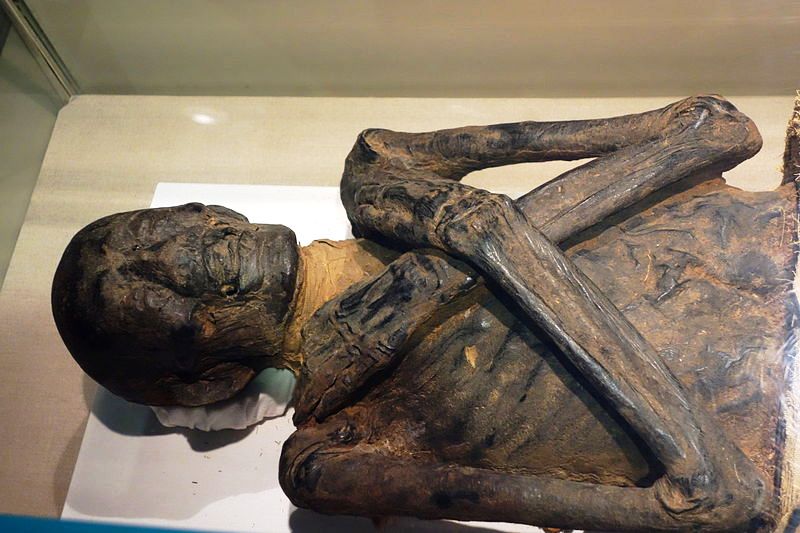 Albany_Mummies,_mummy_1,_Egypt,_Late_Dynastic_to_Early_Ptolemaic_period,_525-200_BC_-_Albany_Institute_of_History_and_Art_-_DSC08190.JPG