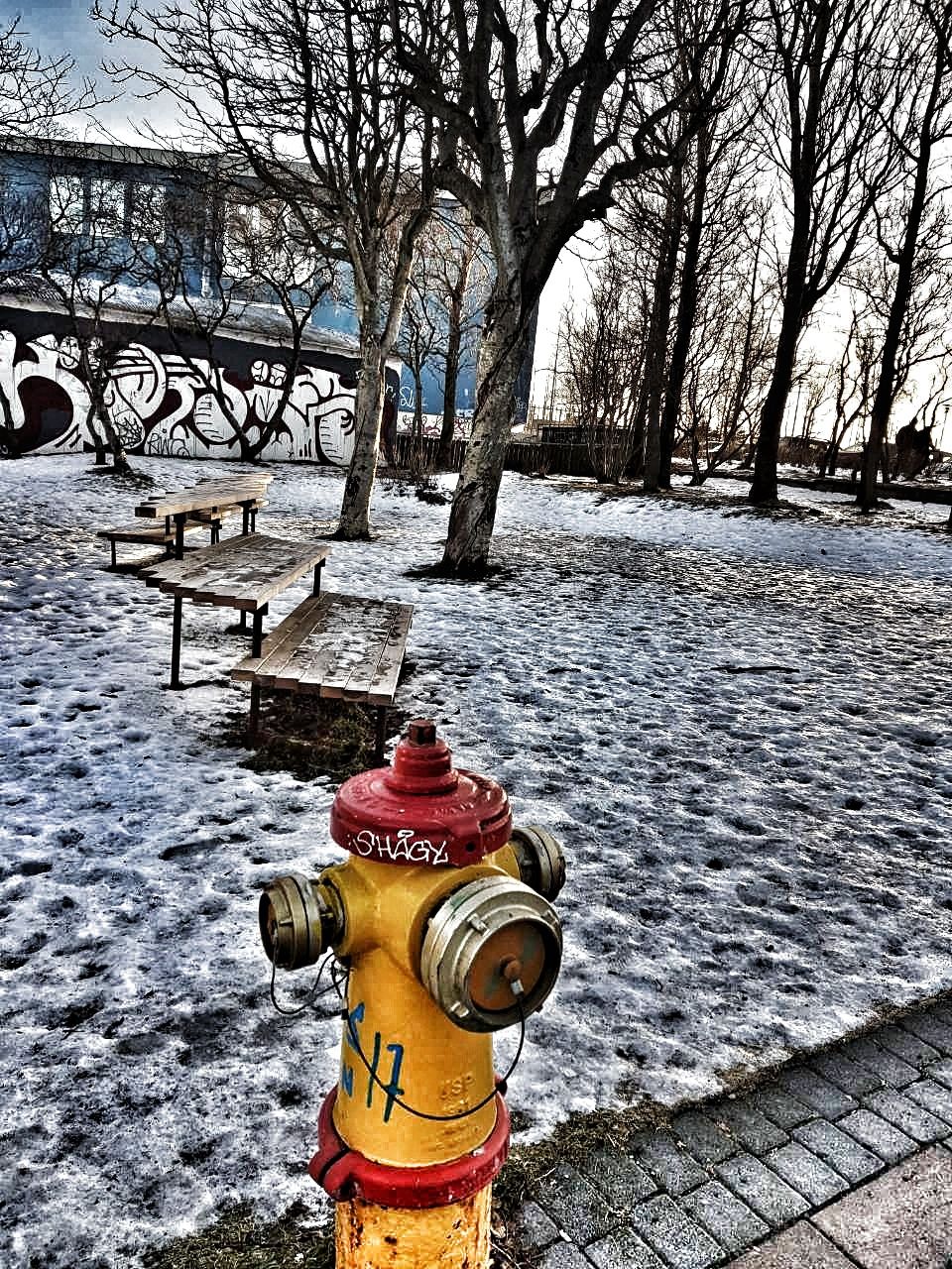 IMG-9a9976518d47e6cc9905ca802a517ef8-V-02.jpeg