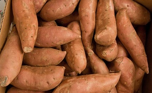 SWEET POTATOES.jpg