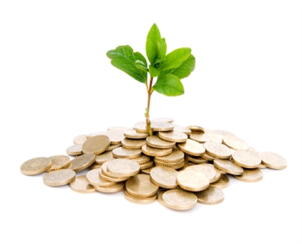 Business-finance-money-plant.jpg