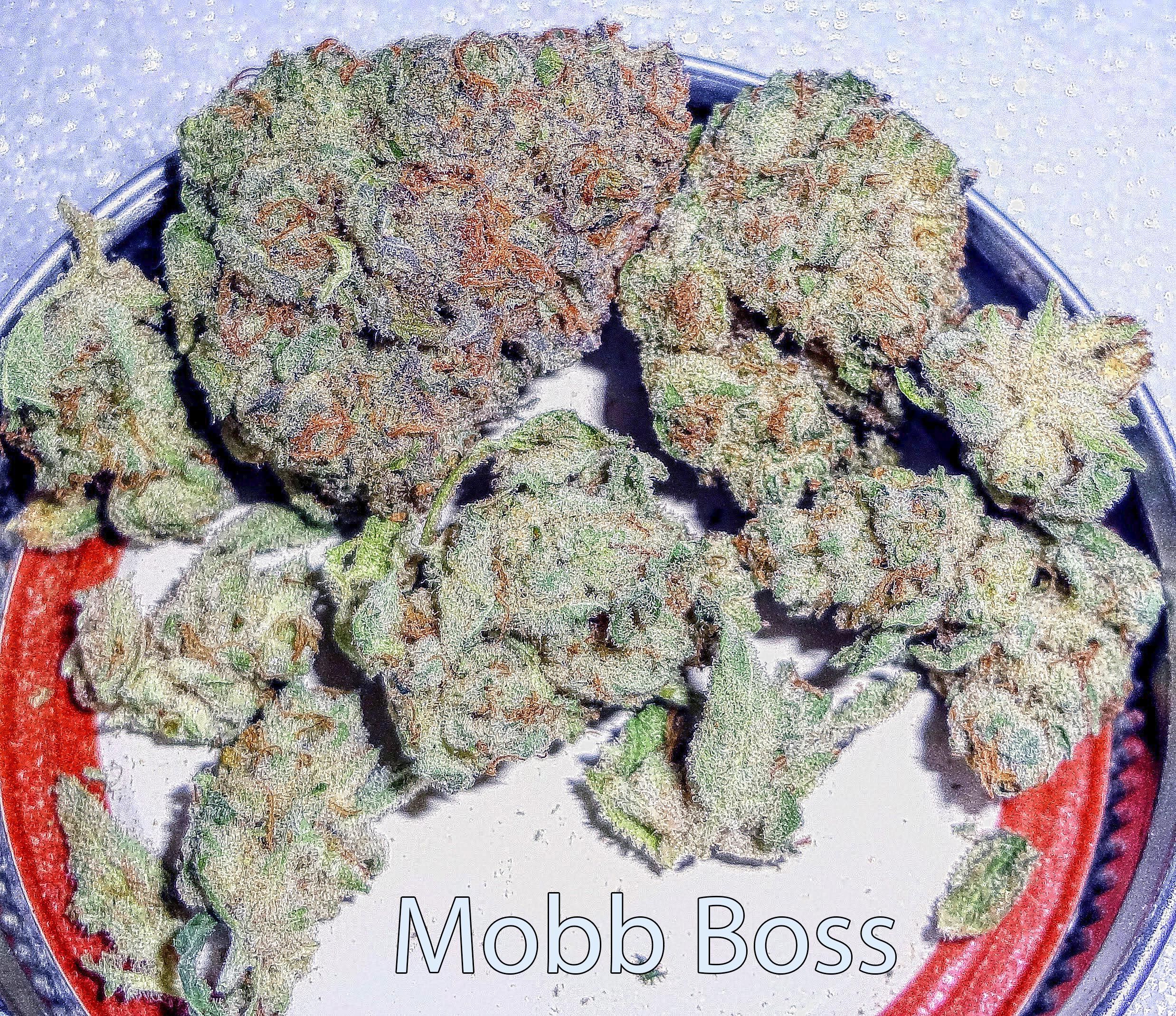 mobbboss316.jpg