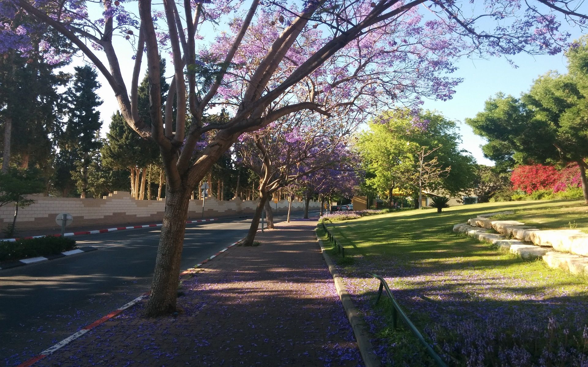 Herzliya May 2015.jpg