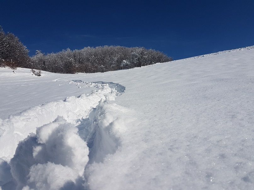 20180204_113159.jpg