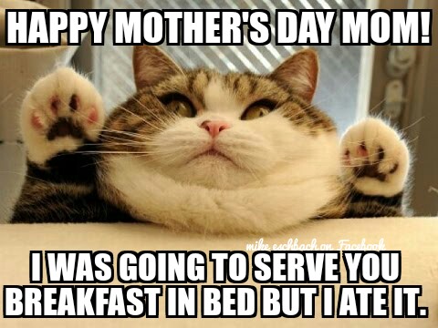 i-was-going-to-serve-you-breakfast-in-bed-but-i-ate-it-meme.jpg
