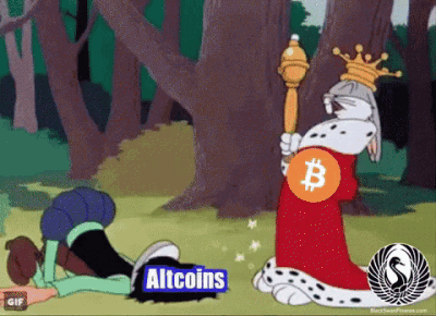 bitcoin-vs-altcoins-meme-animation.gif