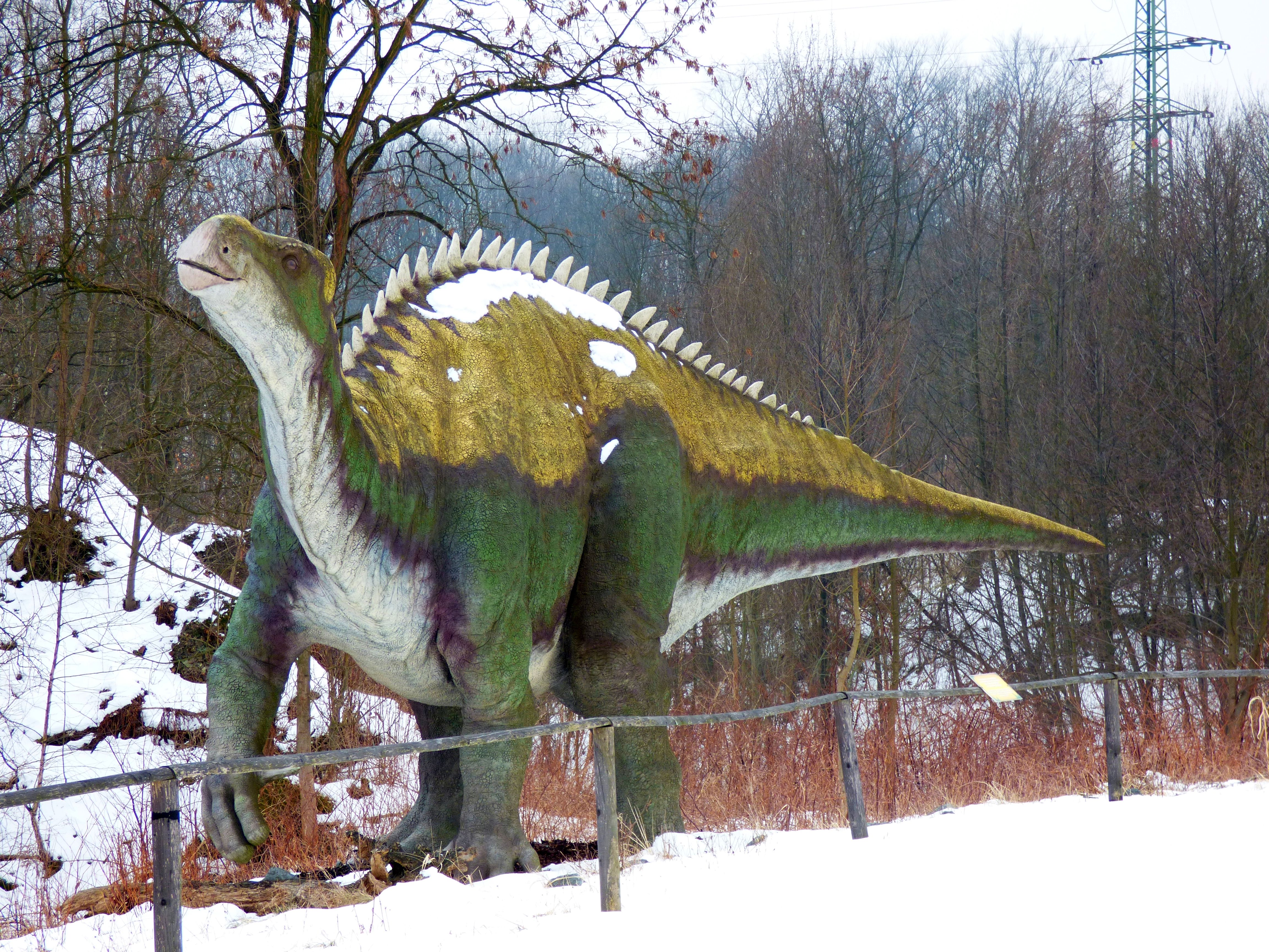 iguanodon 1.JPG