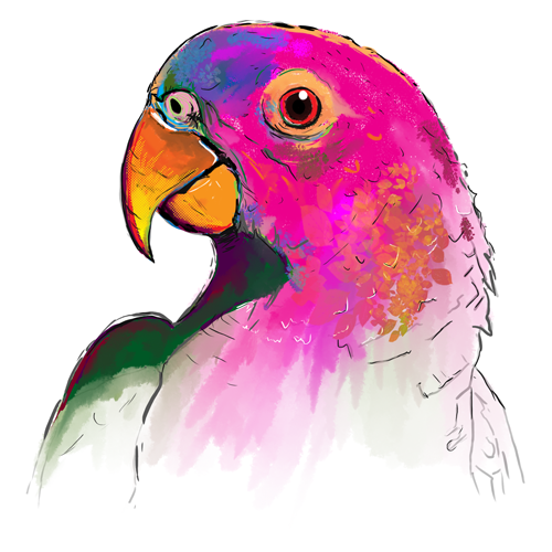 Parrot12.png