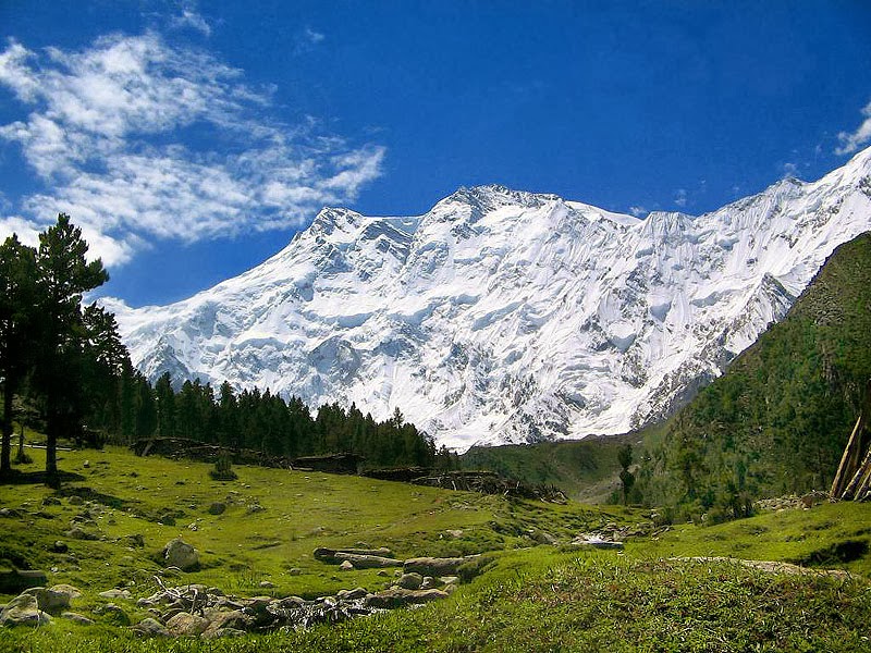 Fairy-meadow-with-Nanga-parbat.jpg