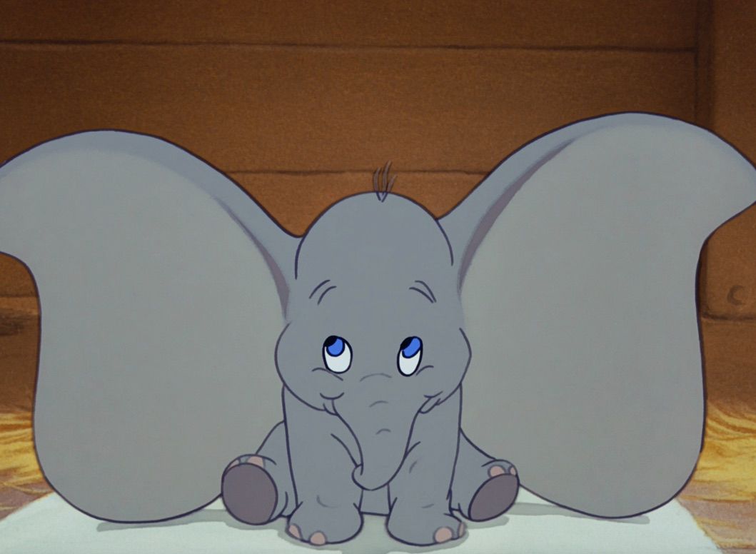 Dumbo-Ears.jpg