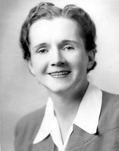 379px-Rachel-Carson.jpg