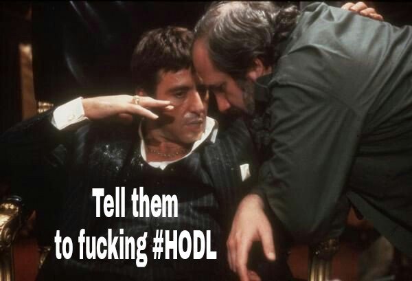 HODL.jpg