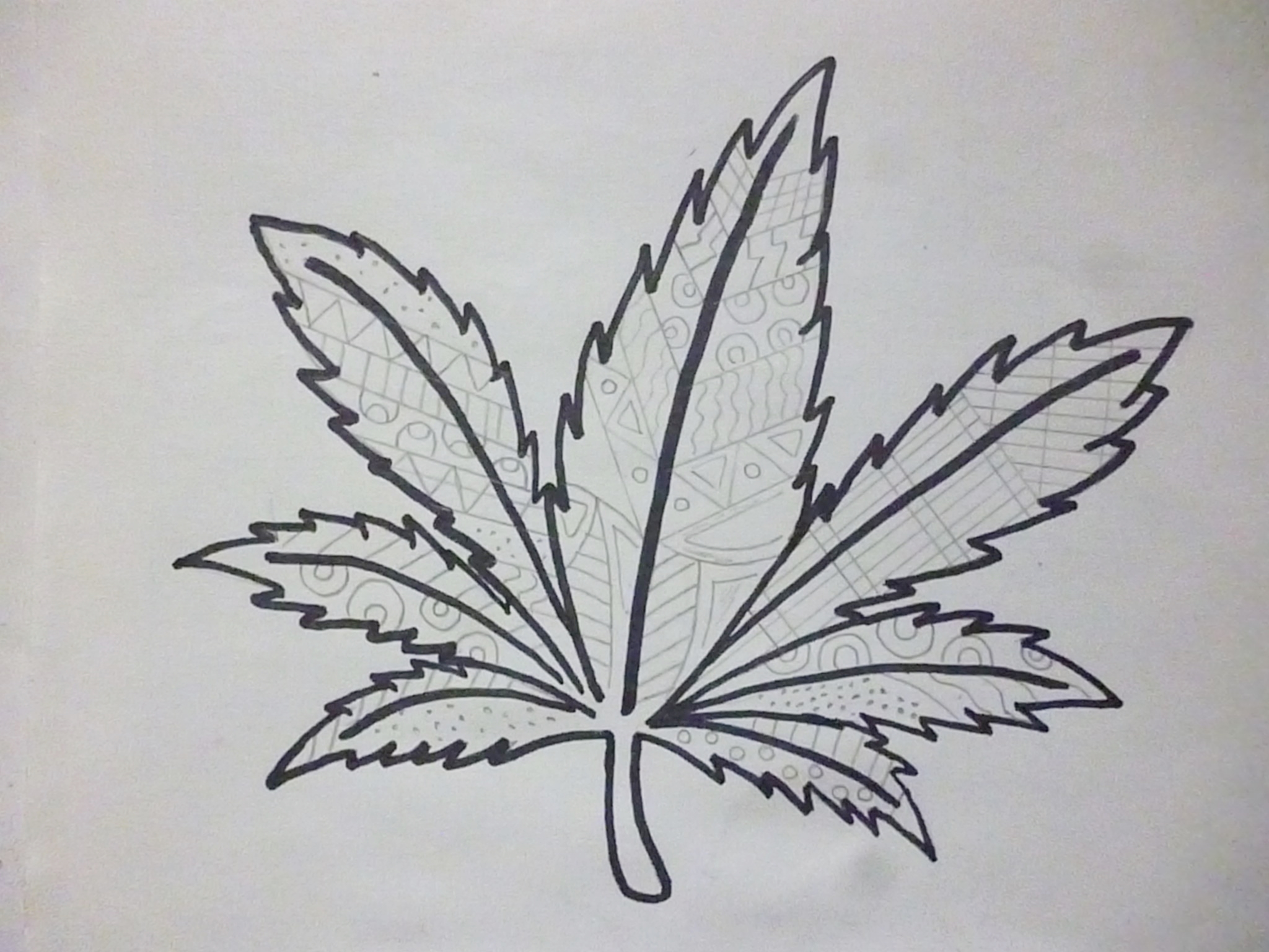 Weed Leaf Pencil Drawing