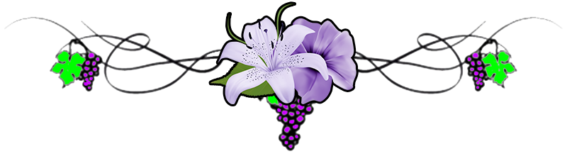 Separator-Grapes-Lily.png