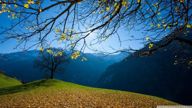 autumn-schachental-switzerland.jpg