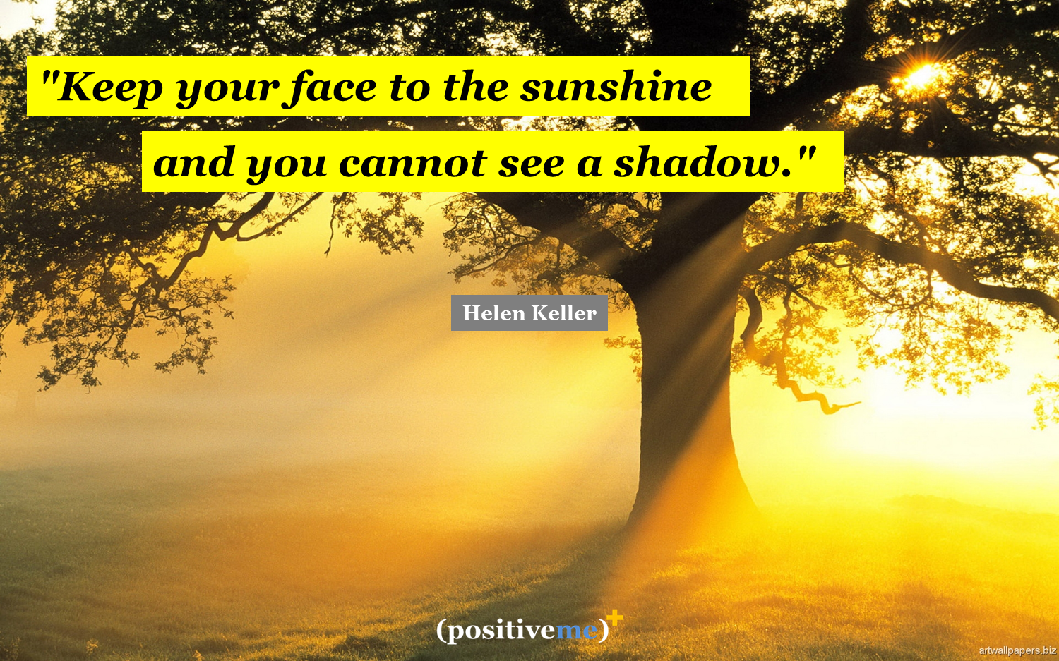 Hellen Keller - Keep you Face to the Sunshine.png