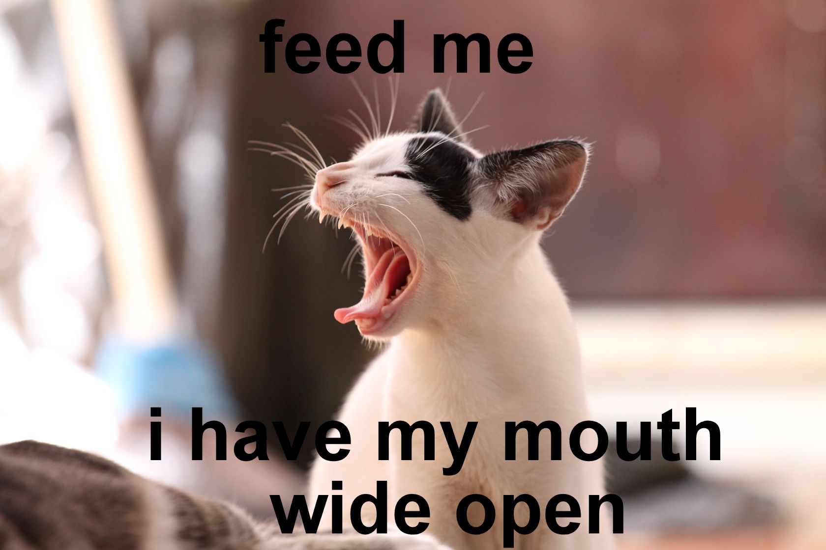 U5dr7vg6r2H1yKccBZG7d4QfE4J9jY9_1680x8400.jpg