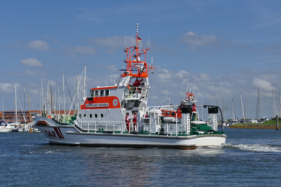 sar-2795036_960_720.jpg