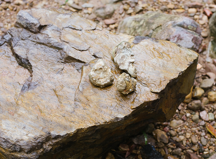 waterfall12.jpg