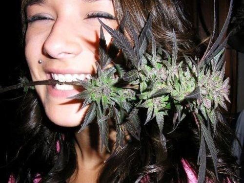 3d6f34d545df63ef3bc7d34fa291e67a---girls-stoner-girl.jpg