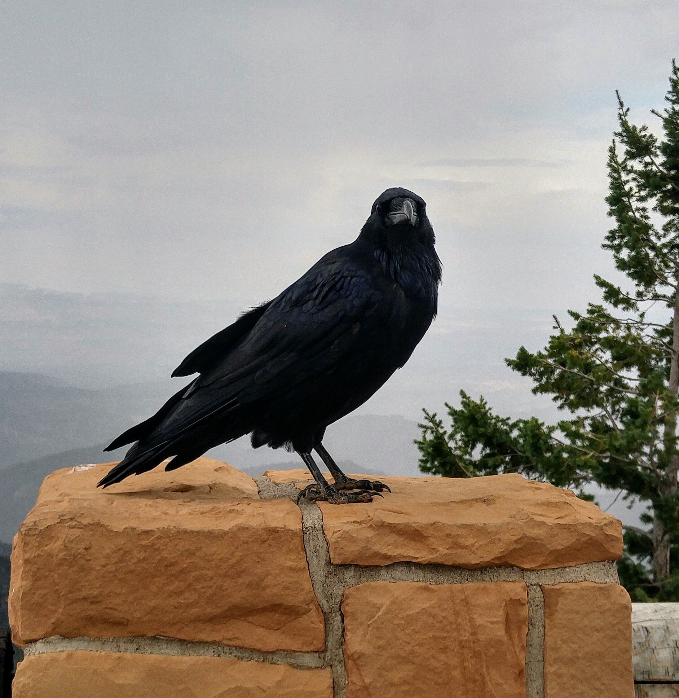 0831171556a_HDR~2.jpg