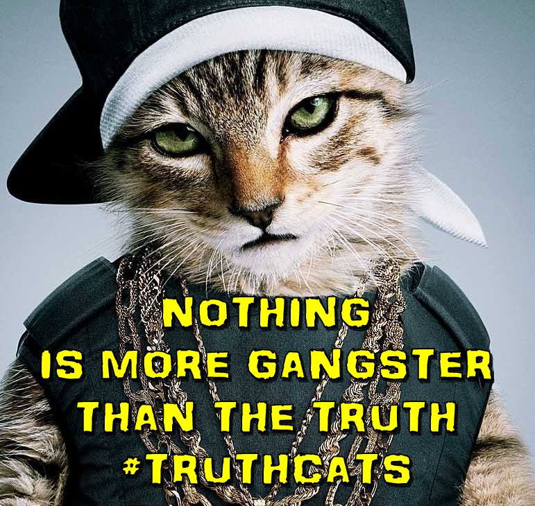 truth cats.jpg