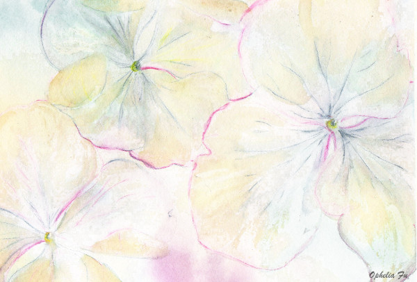 Linen petalsmed.jpg