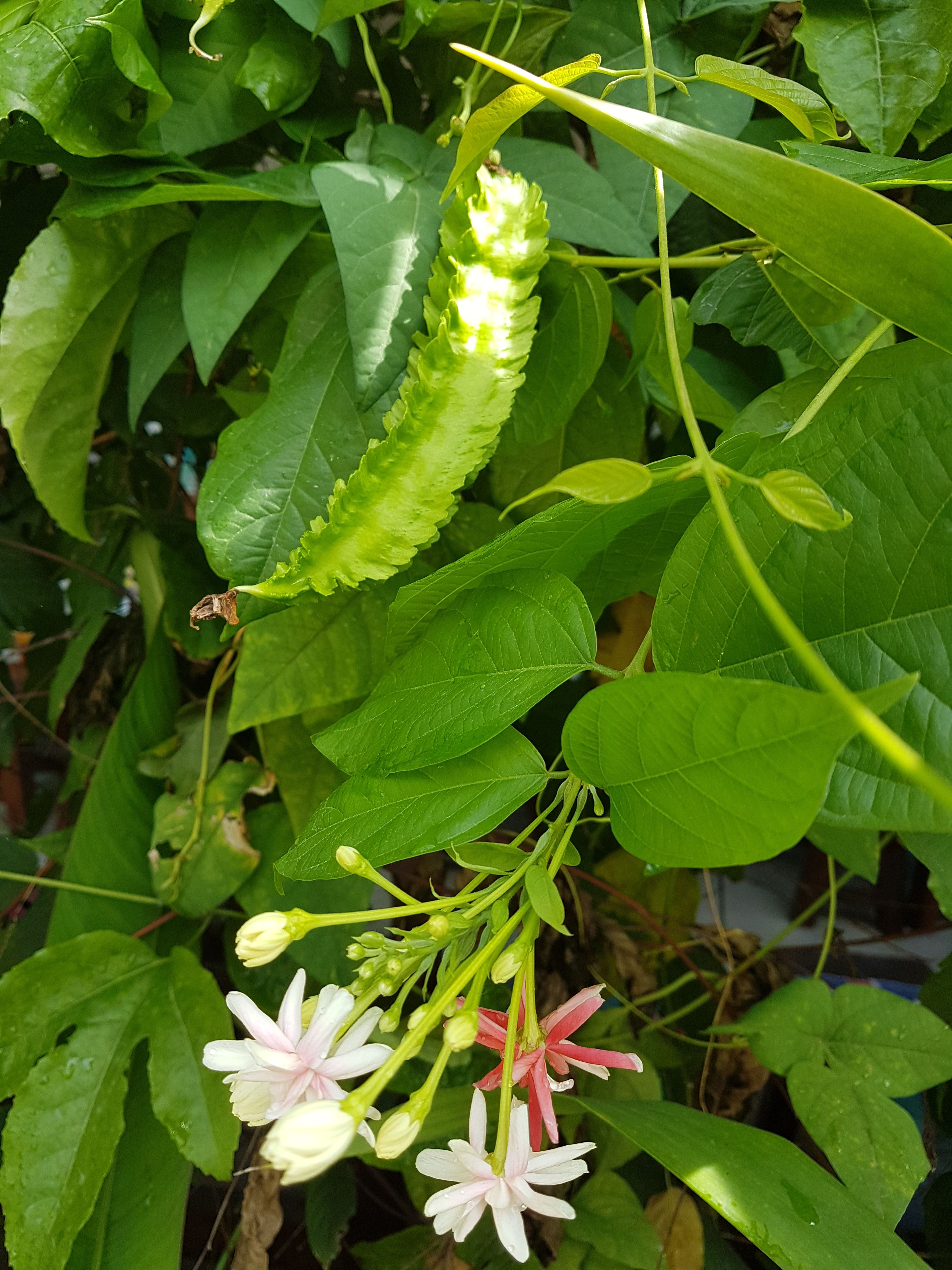20170904_093514.jpg