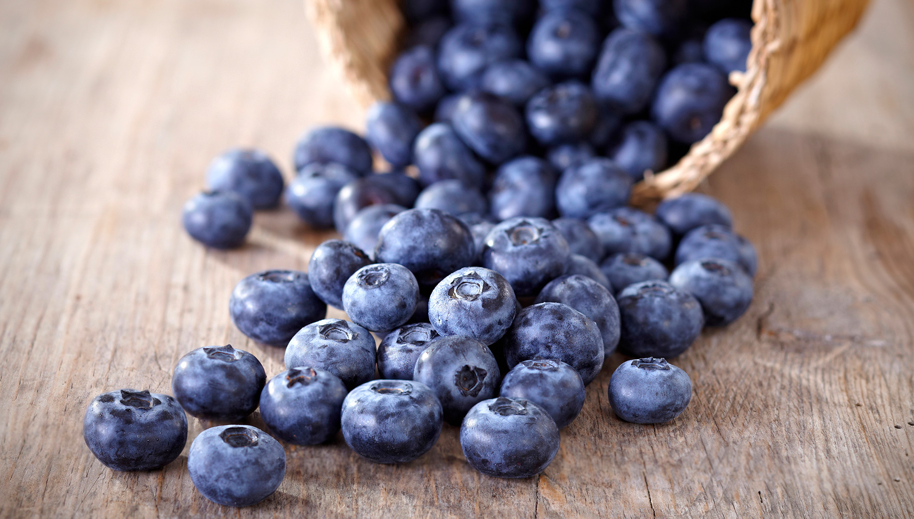 Basket-of-blueberries.jpg