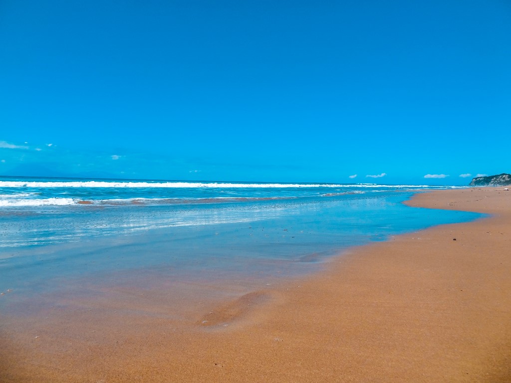 DSC09852 (Medium).jpg