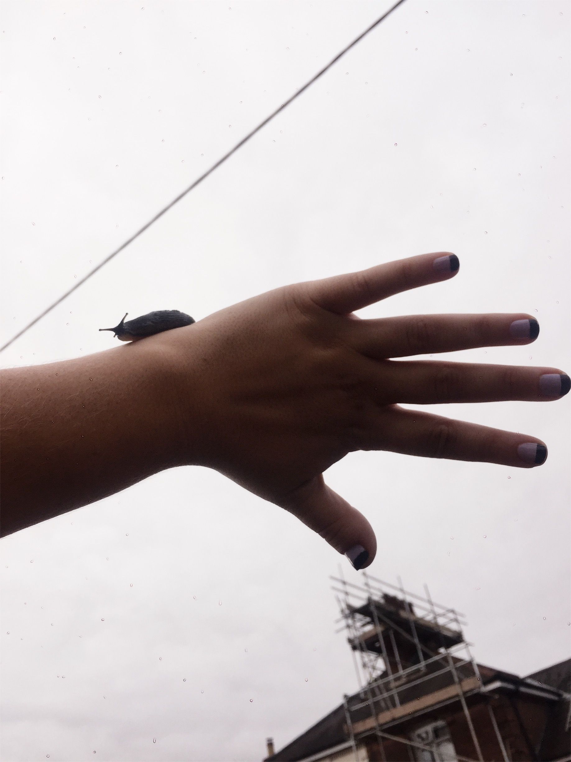 VSCO Cam-3-1.jpg