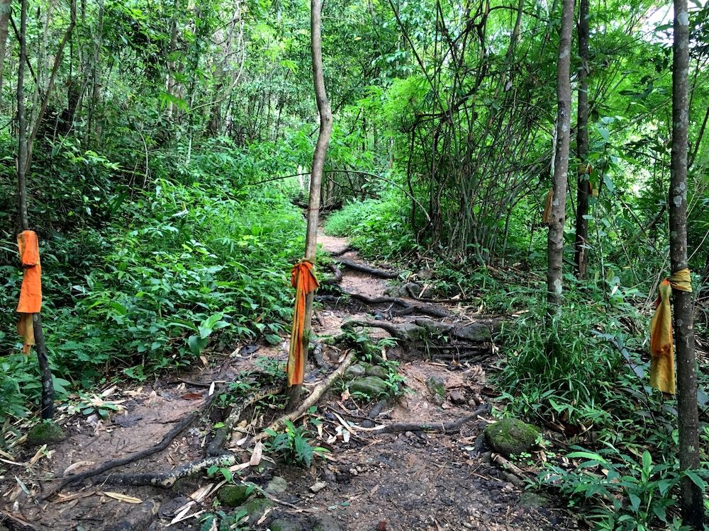 Wat Pha Lat Hike Chiang Mai Thailand 25.jpg