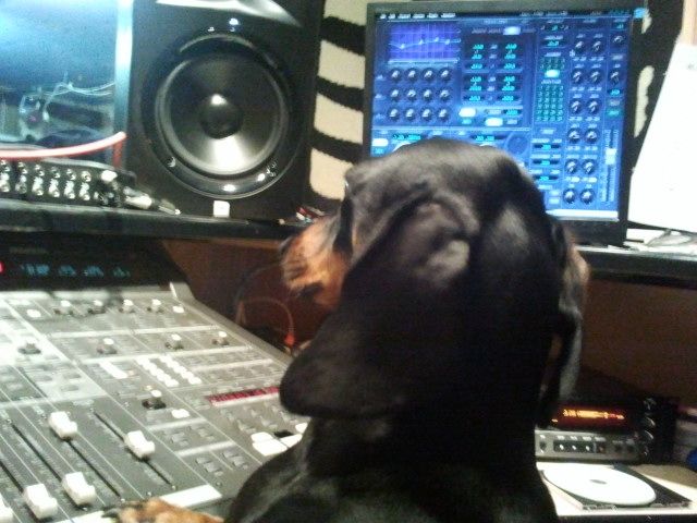 orella in studio.jpg