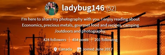 ladybug146acc.jpg