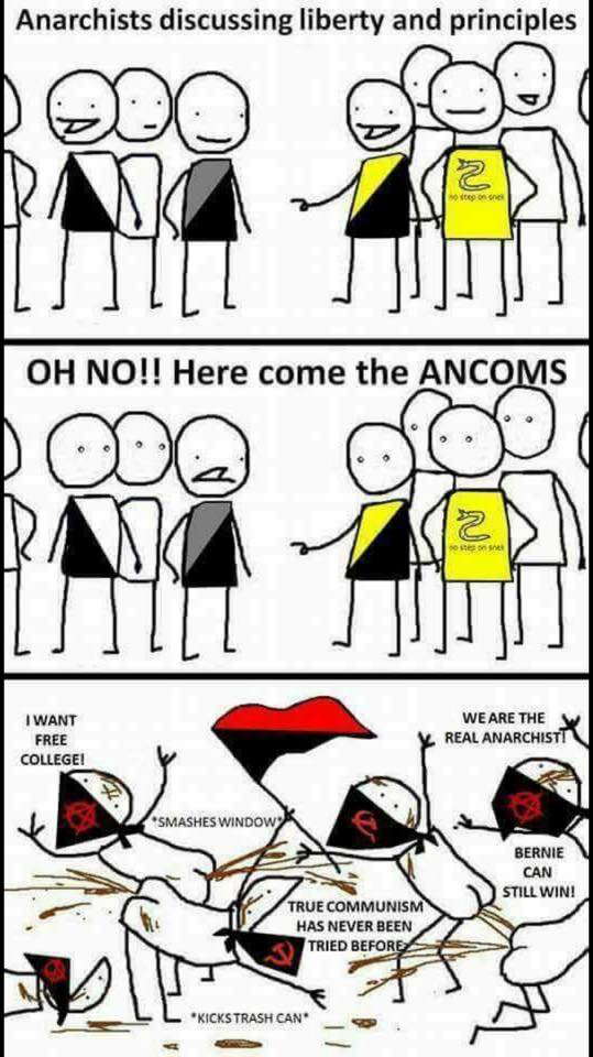 ancoms.jpg