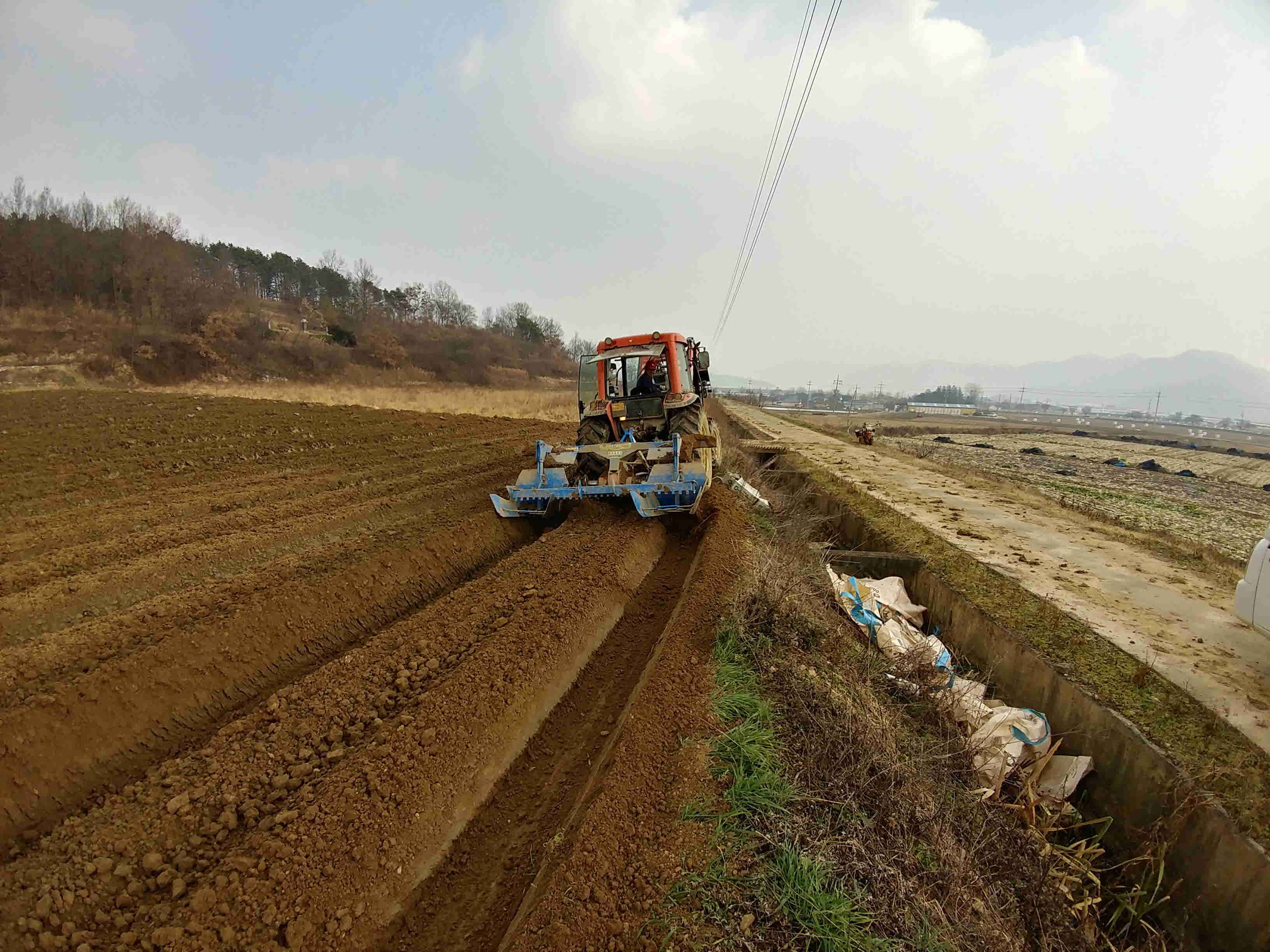 인삼파종기 인삼씨앗파종 인삼파종방법 인삼심기 인삼재배 인삼농사 삼남자 보은군 개갑인삼씨앗 (1).jpg