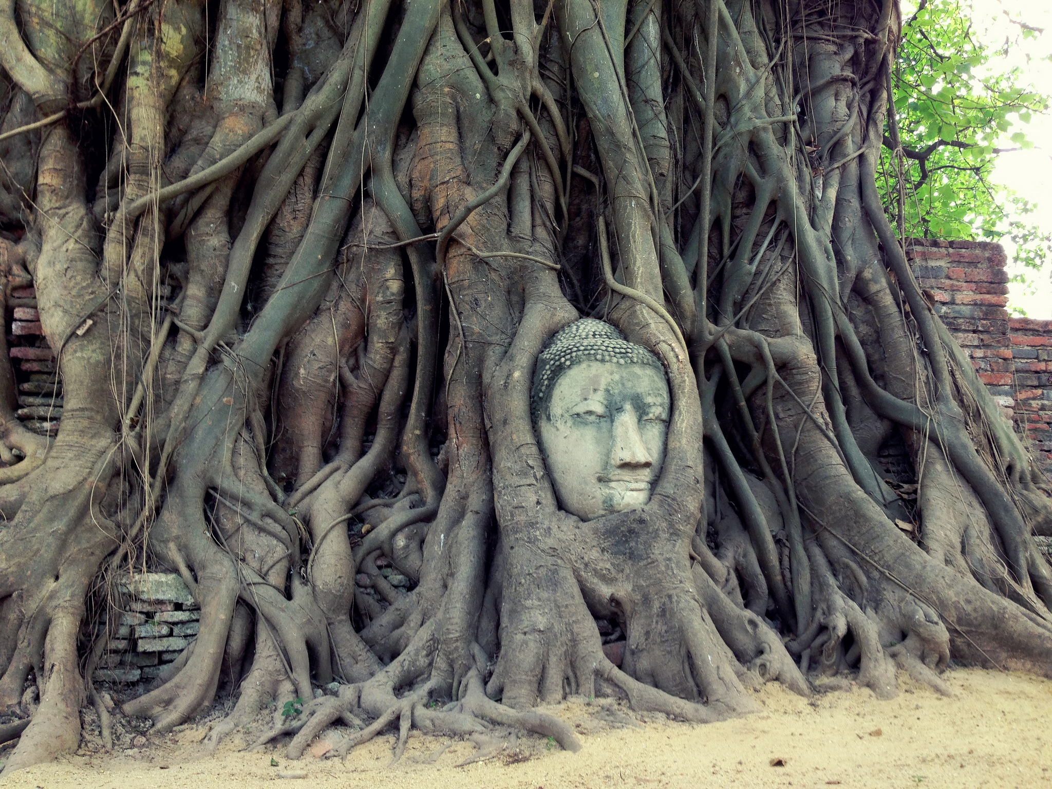 Wat.Mahathat.Ayutthaya.original.18714.jpg