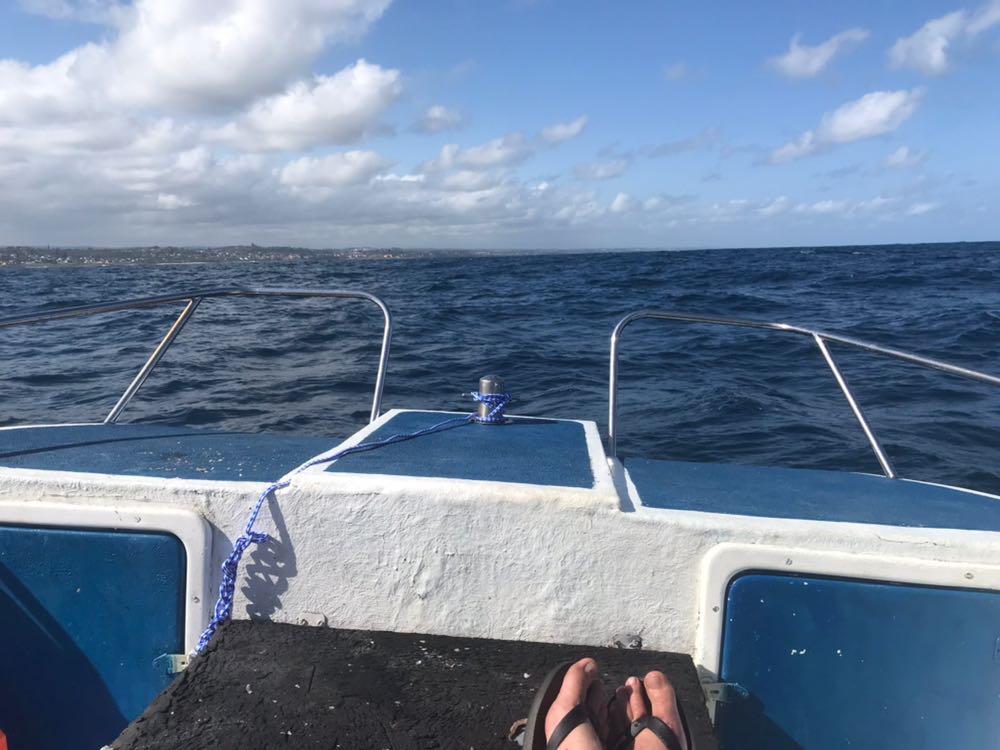 WhatsApp Image 2018-01-06 at 17.45.46 (1).jpeg