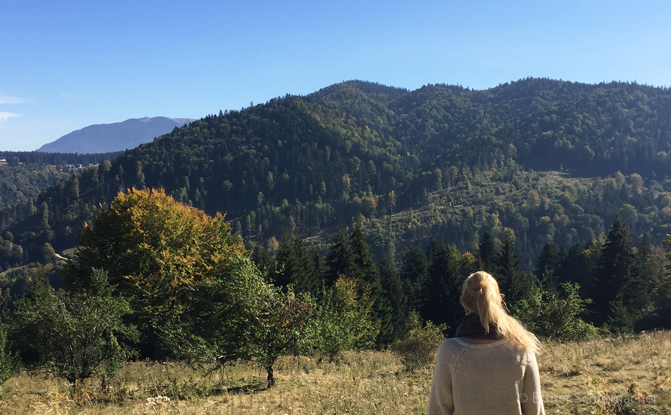 natur-karpaten-rumaenien-roadtrip.jpg