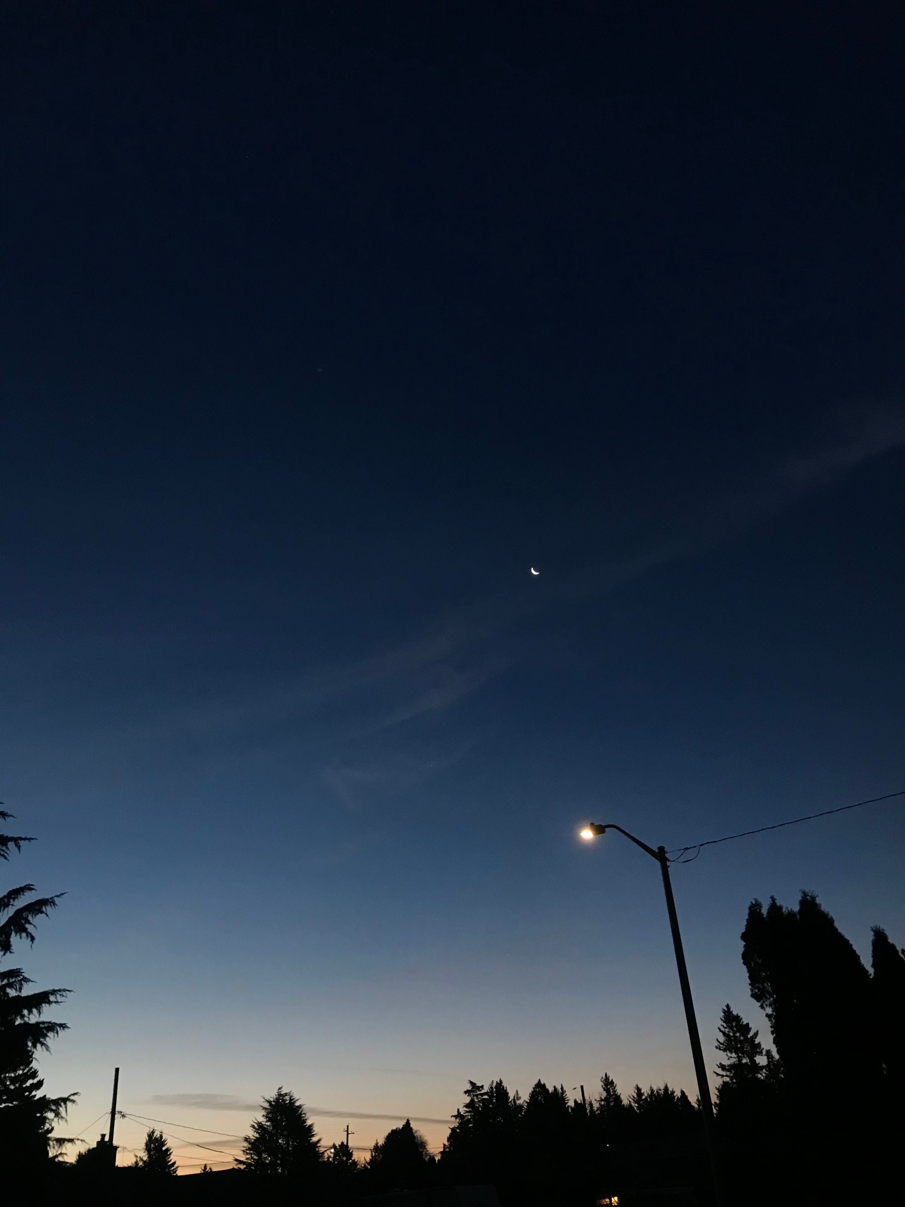 3C52B44F-BC7F-47E0-933A-03AD9069FEA9.jpeg