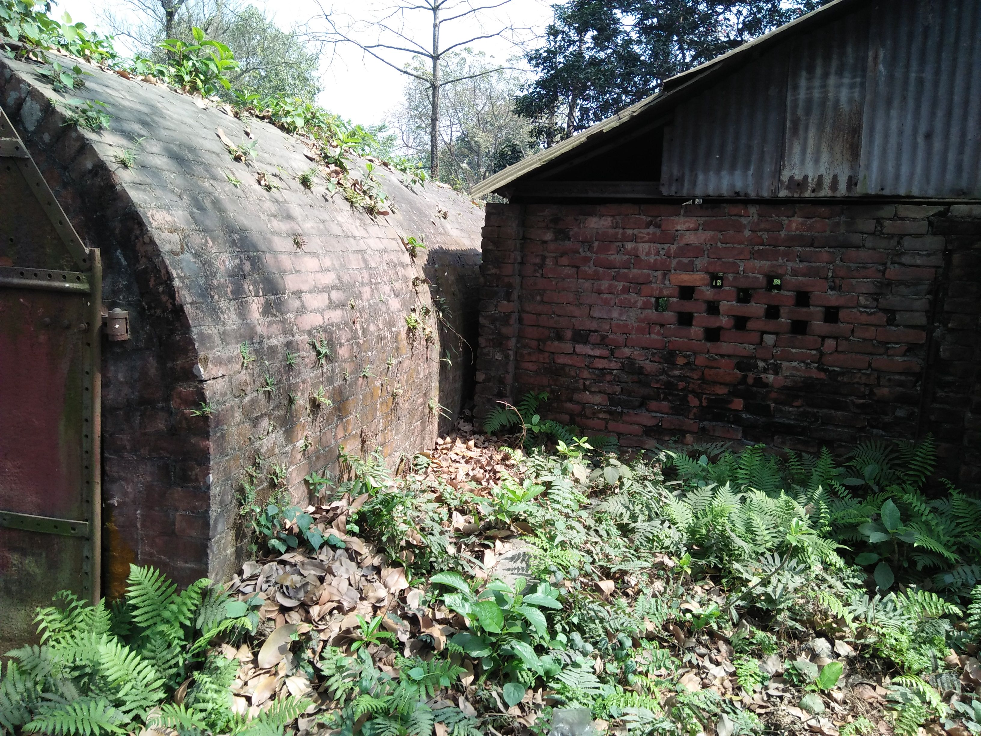 IMG20180304112911.jpg