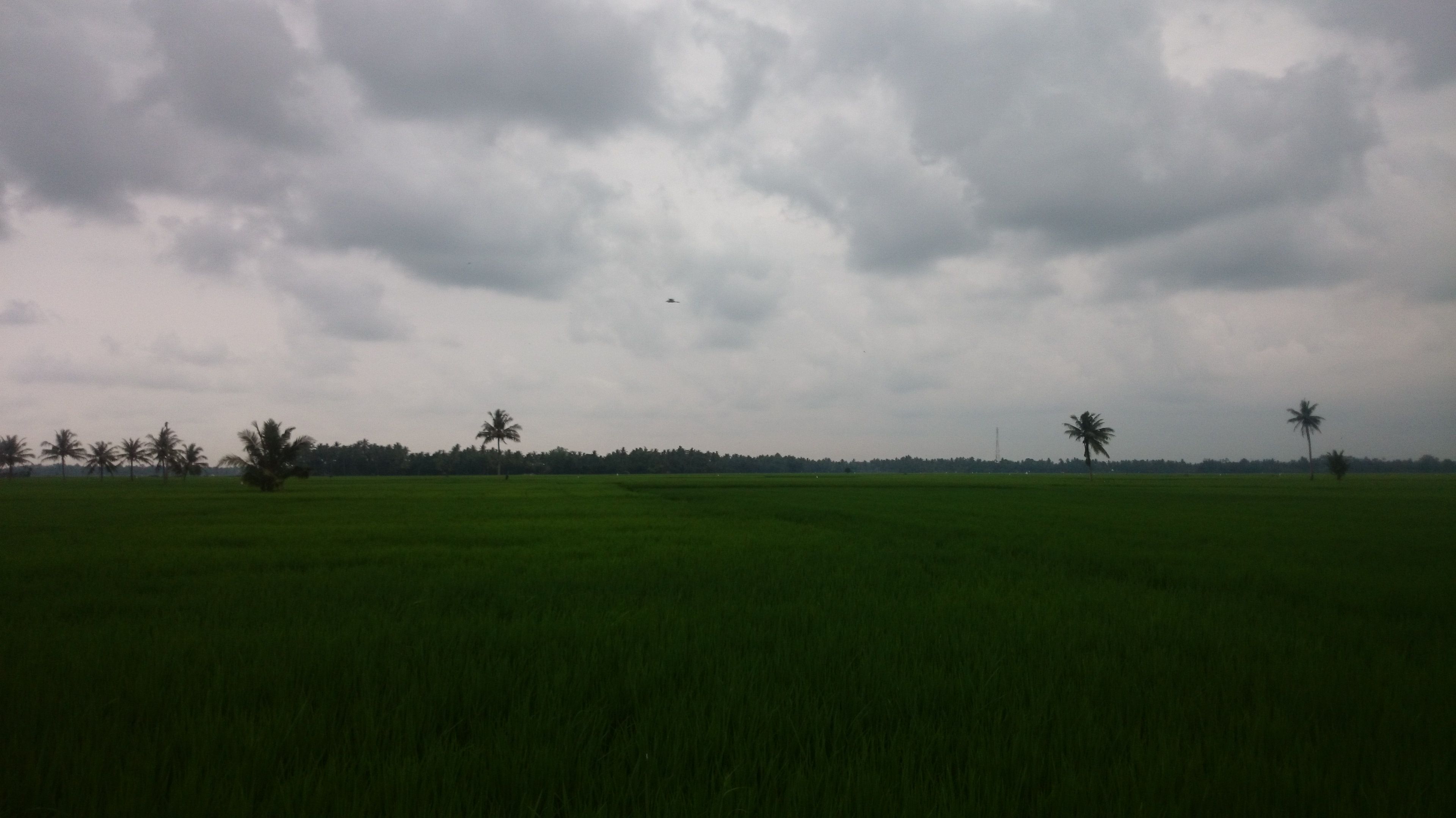 DSC_0784.JPG