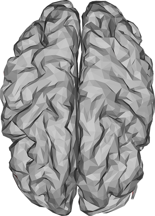 brain-3176780_960_720.png