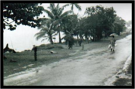 Sigatoka.jpg