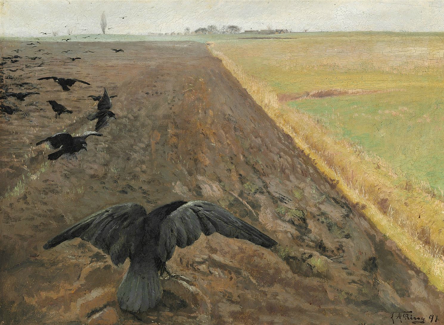 rooks on the plowing field 1891.jpg