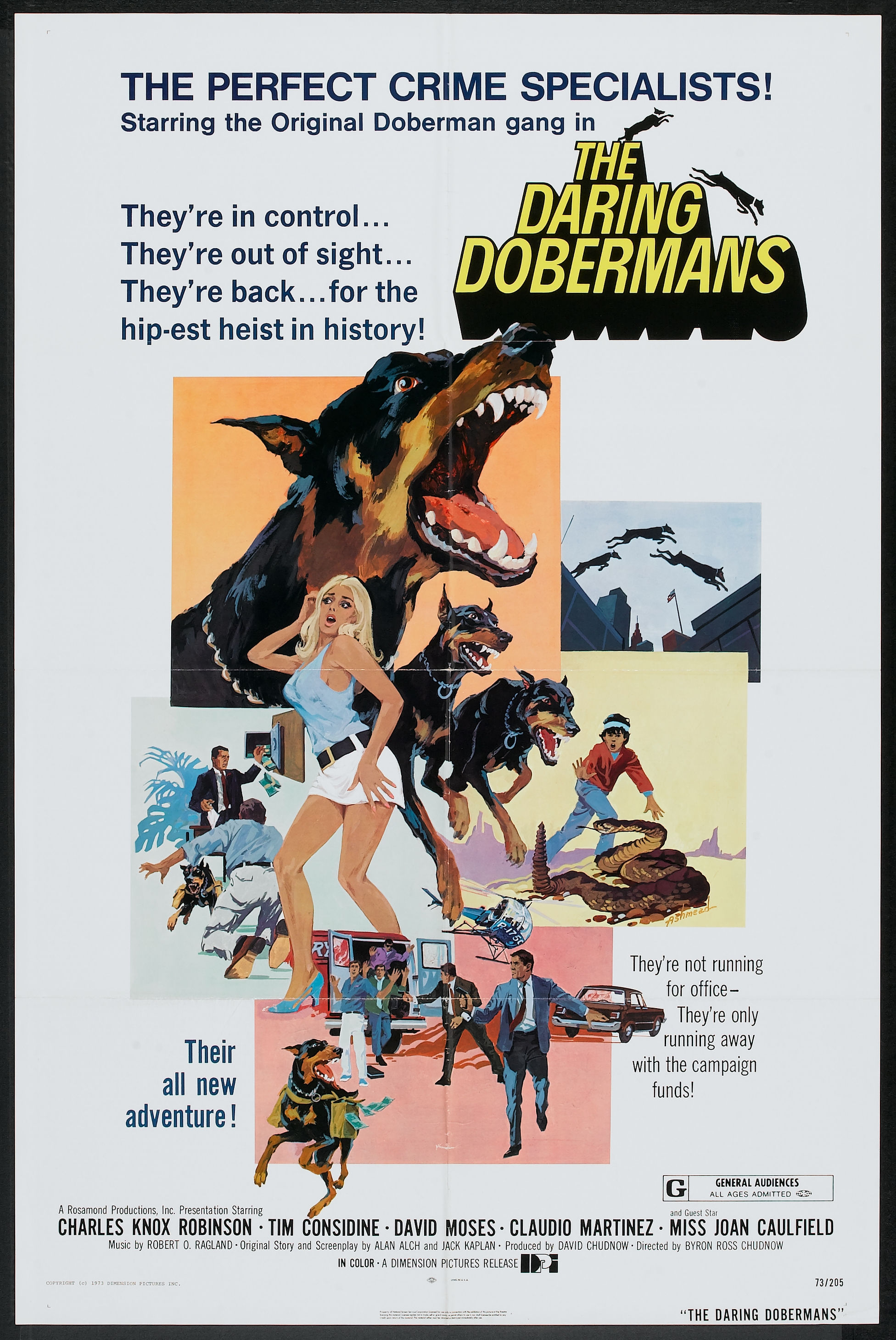 Daring Dobermans 01.jpg