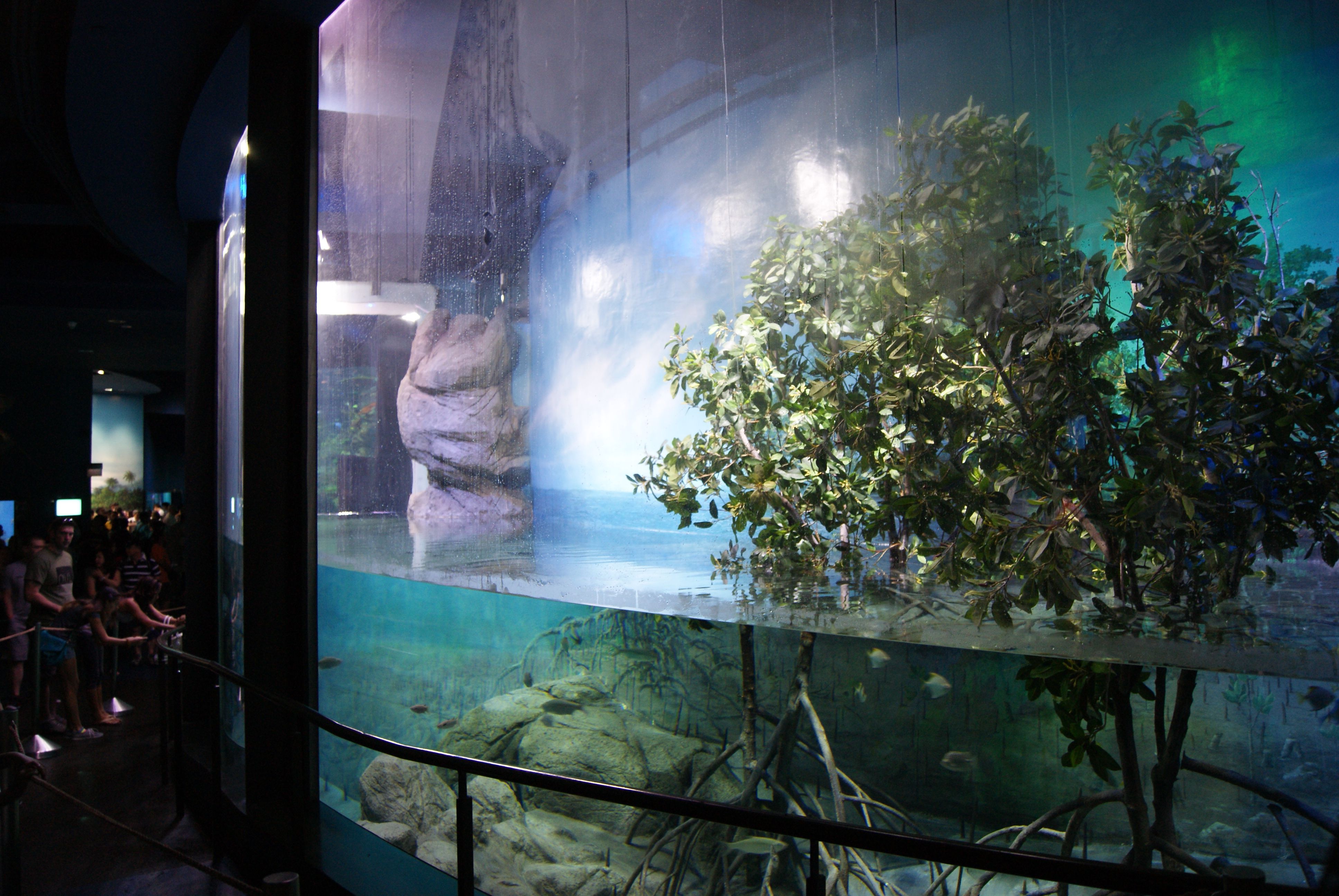 S.E.A._Aquarium,_Marine_Life_Park,_Resorts_World_Sentosa,_Singapore_-_20130105-07.JPG