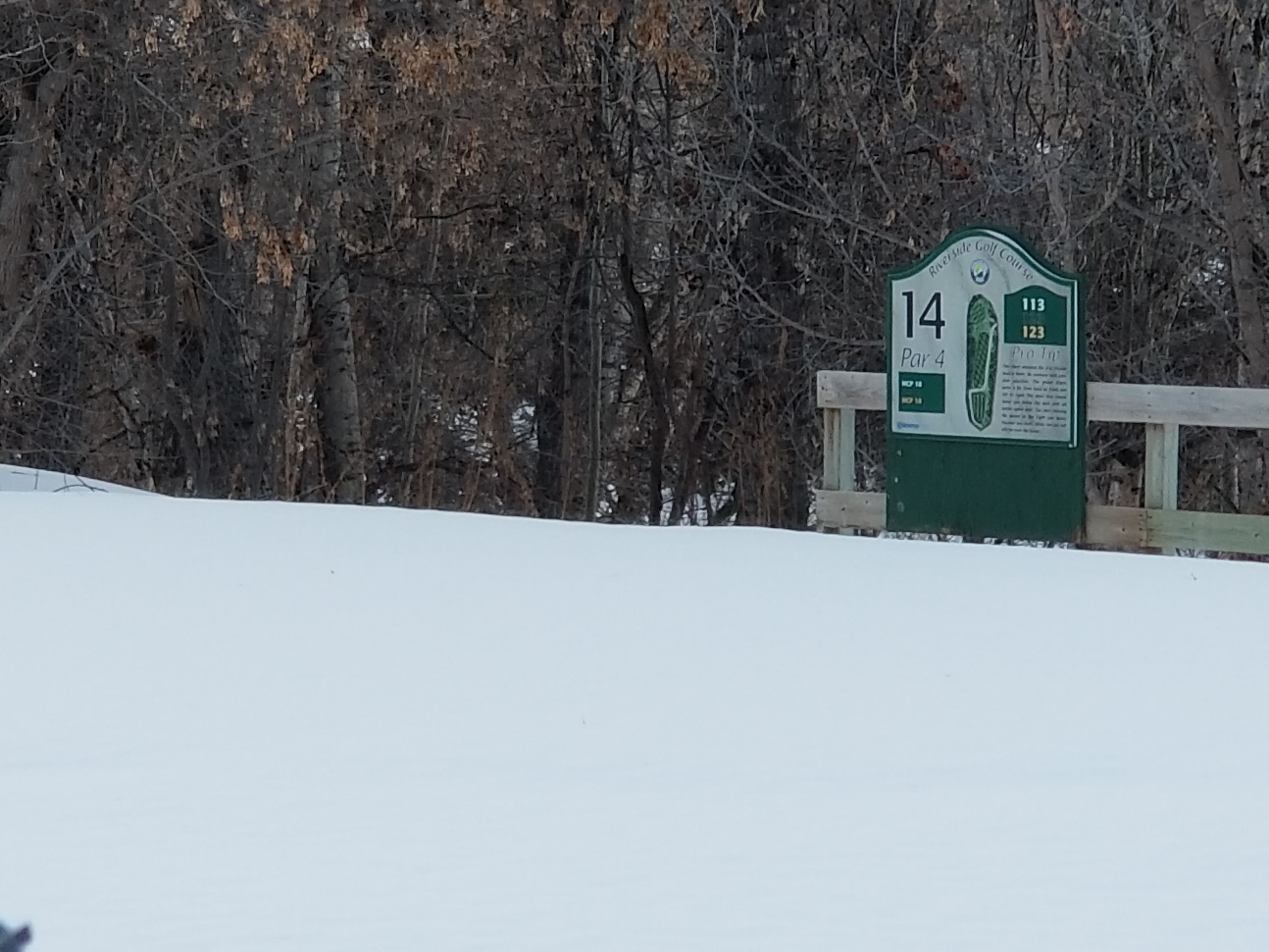 20180220_174234.jpg