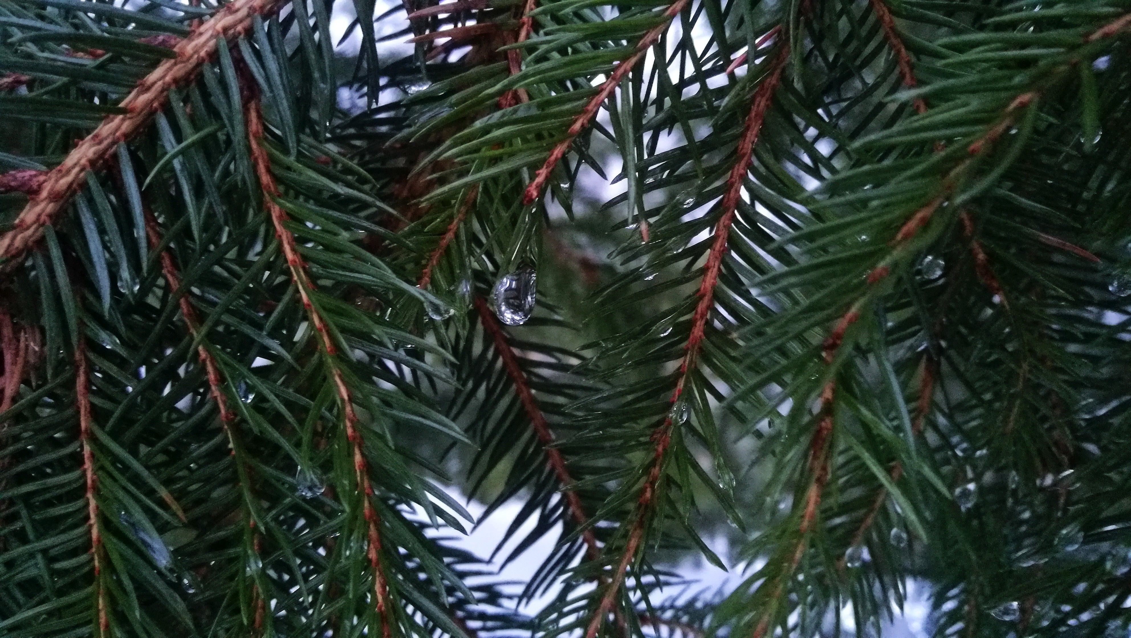 4.IMG_20180307_175548.jpg