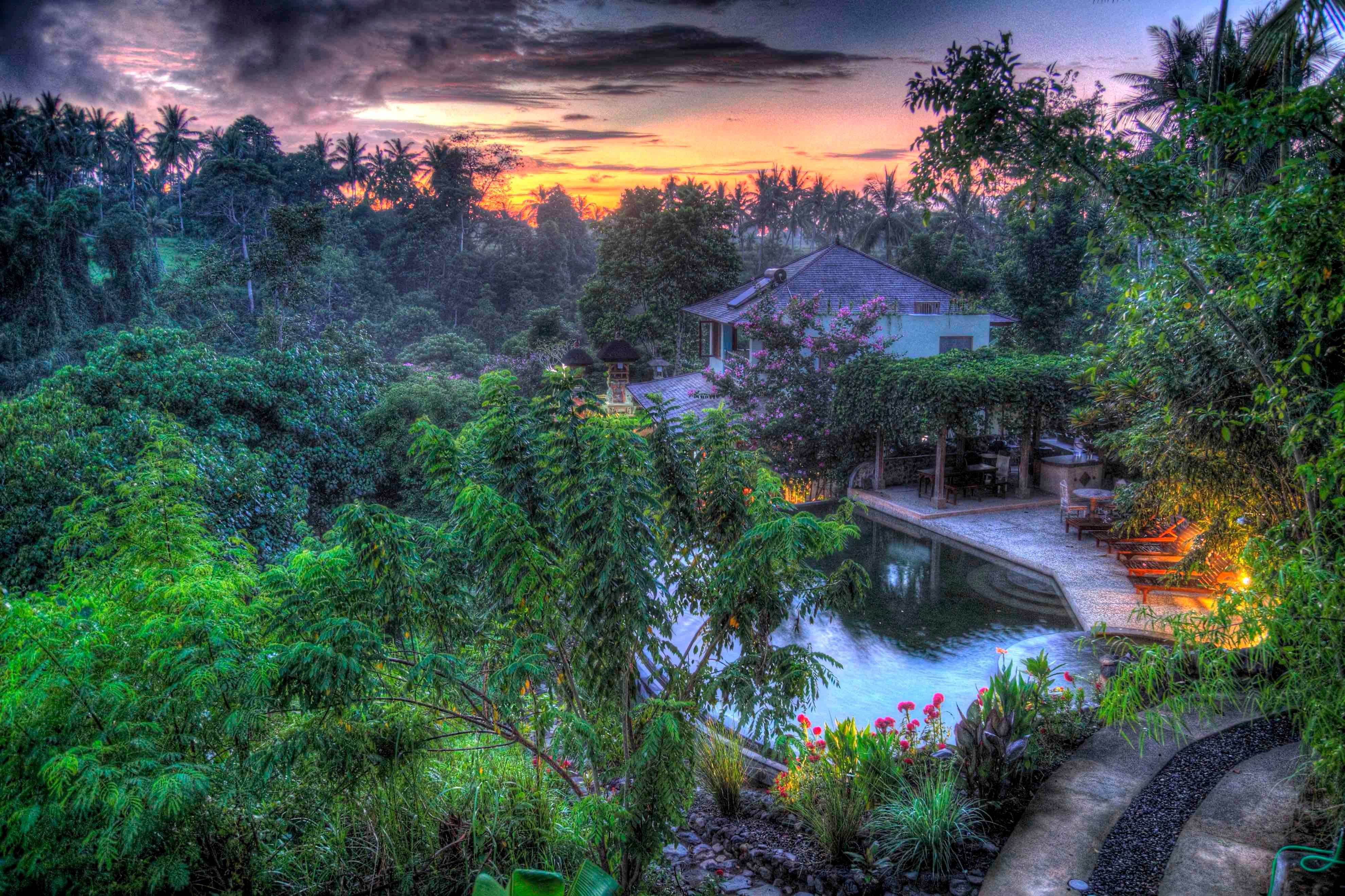 TP Bio pool at sunrise.jpg